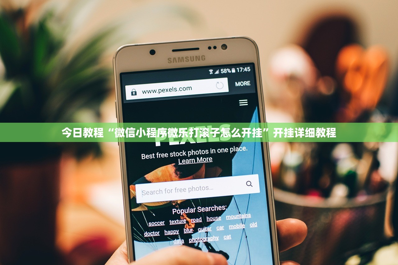 今日教程“微信小程序微乐打滚子怎么开挂”开挂详细教程