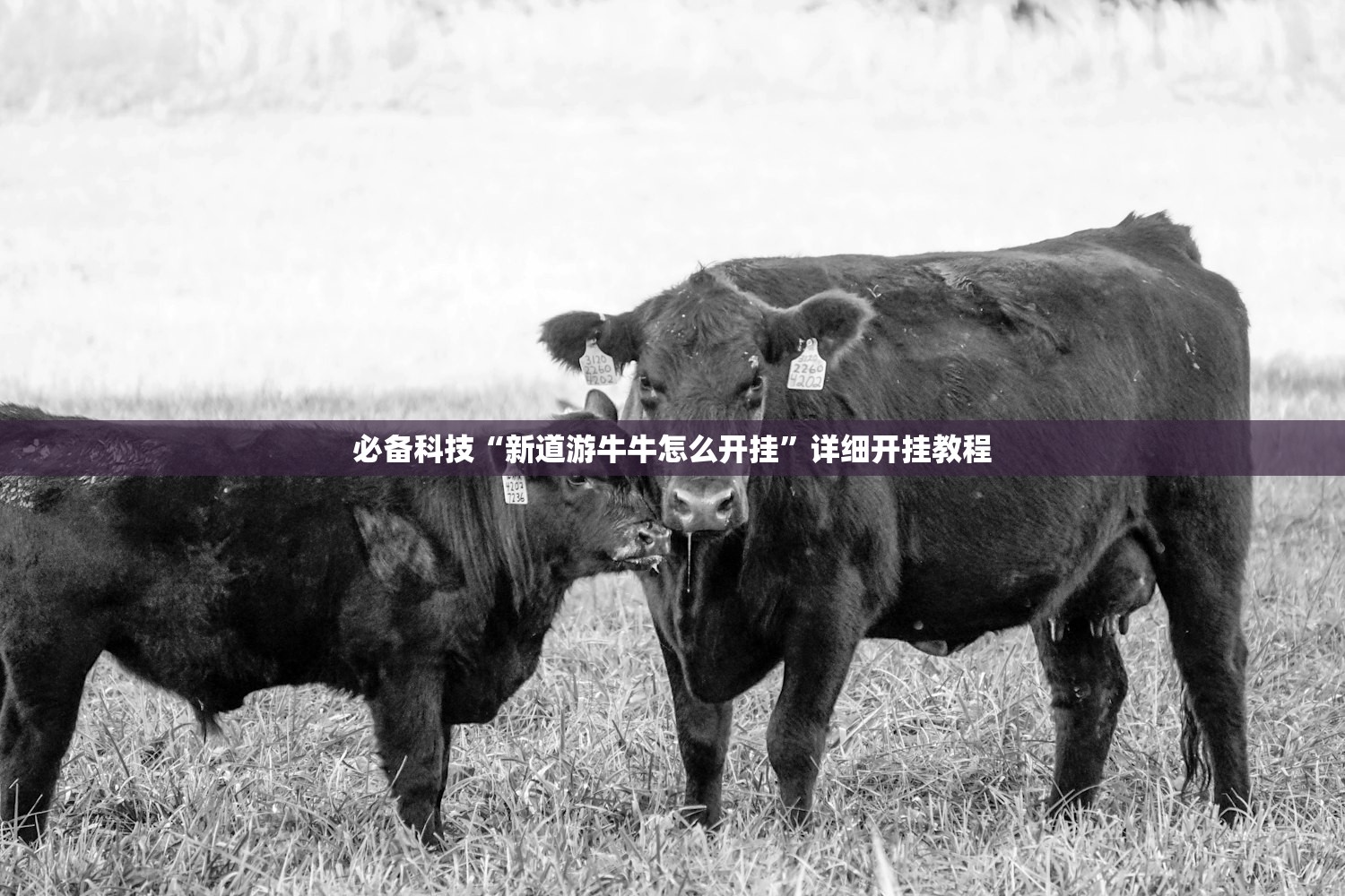 【31省份新增本土确诊75例/31省份新增本土确诊30例?】