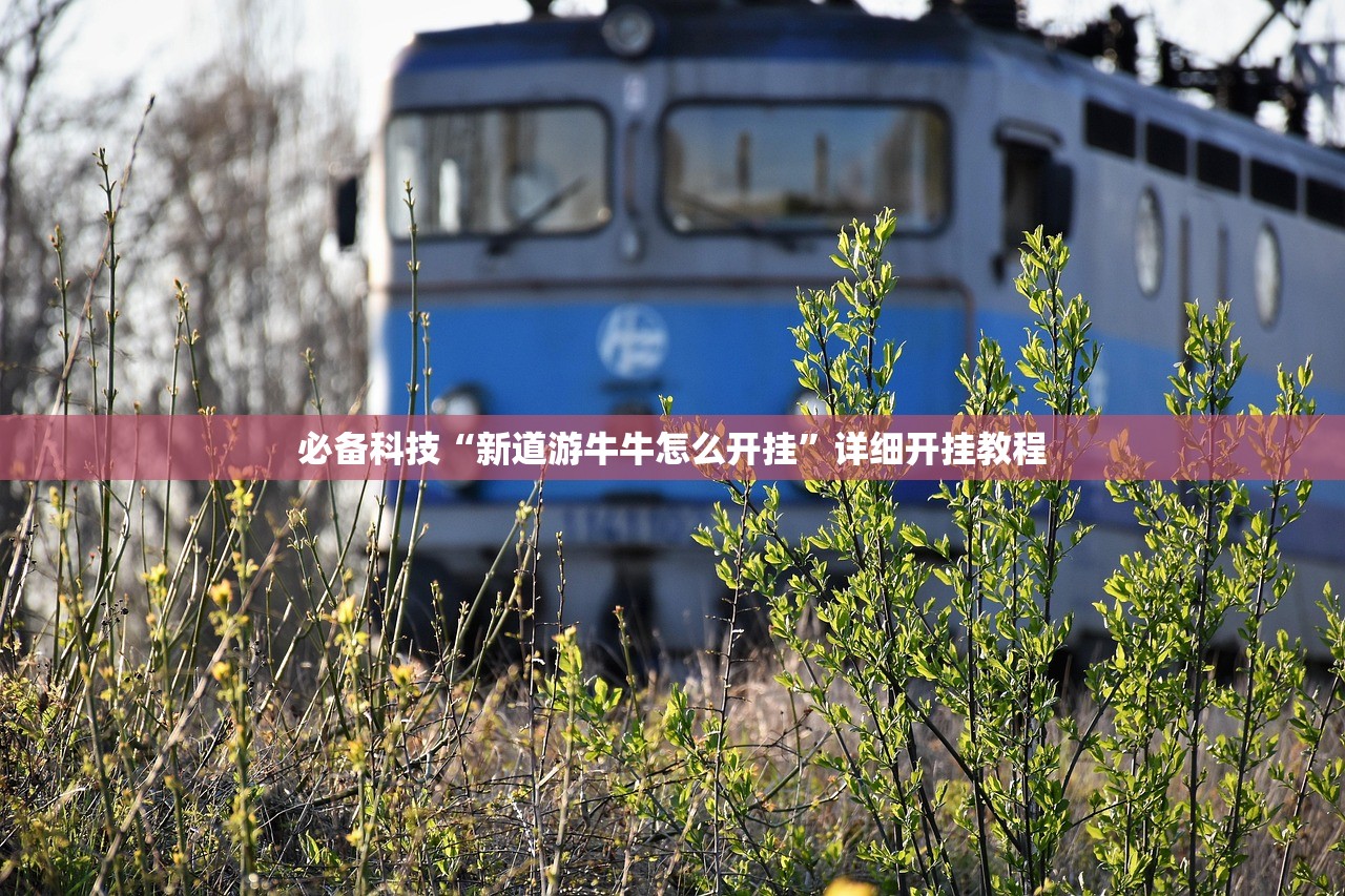 必备科技“新道游牛牛怎么开挂	”详细开挂教程