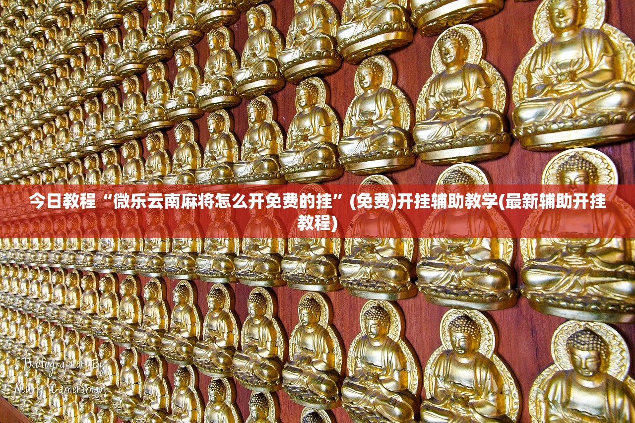 今日教程“微乐云南麻将怎么开免费的挂”(免费)开挂辅助教学(最新辅助开挂教程)