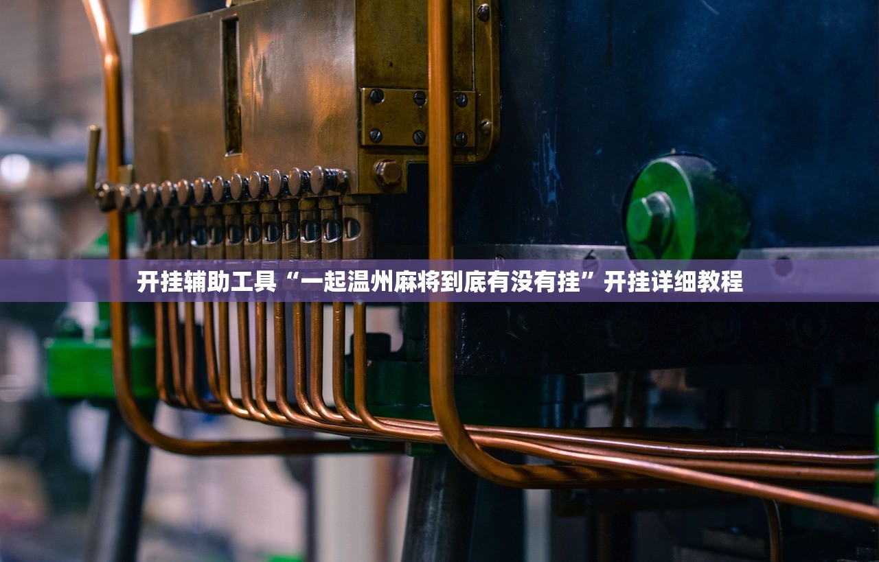 开挂辅助工具“一起温州麻将到底有没有挂	”开挂详细教程