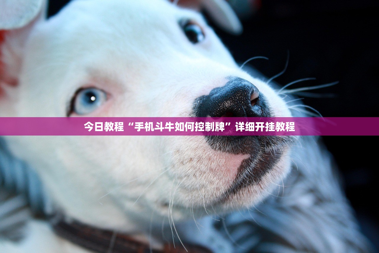 使用分享!广西麻将开挂辅助器通用版”详细分享装挂步骤