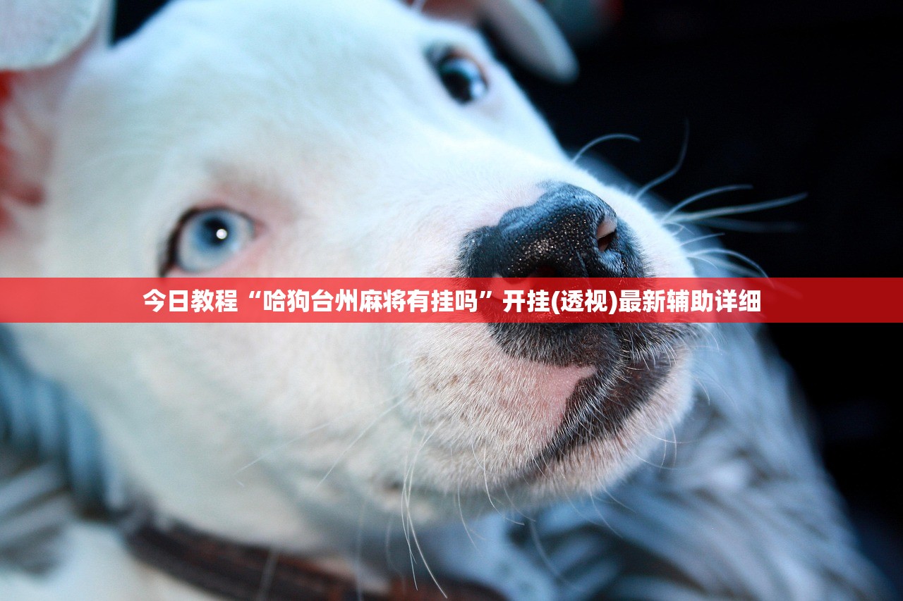 今日教程“哈狗台州麻将有挂吗”开挂(透视)最新辅助详细