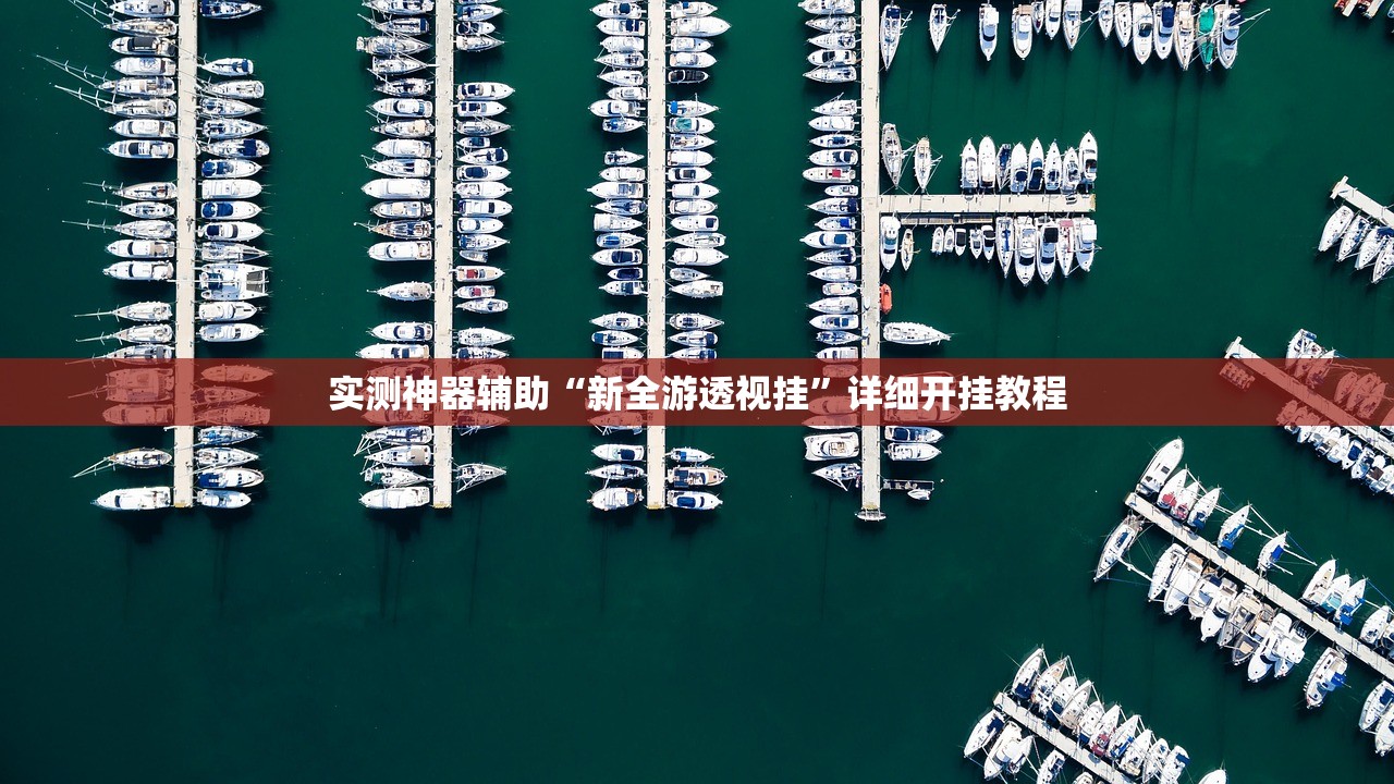 实测神器辅助“新全游透视挂”详细开挂教程