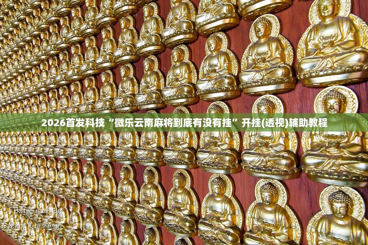 2026首发科技“微乐云南麻将到底有没有挂”开挂(透视)辅助教程
