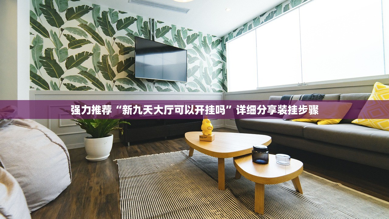强力推荐“新九天大厅可以开挂吗”详细分享装挂步骤