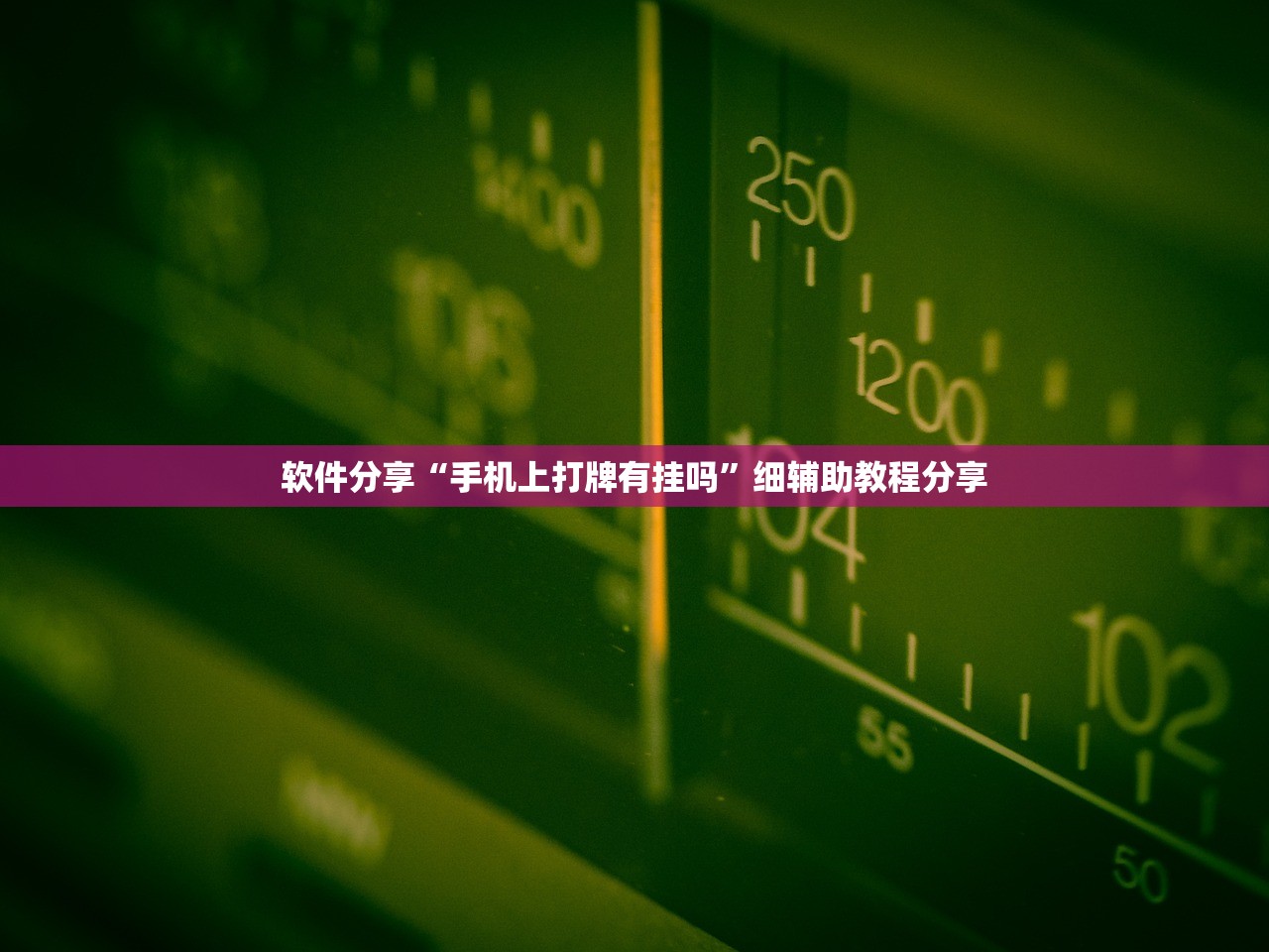 软件分享“手机上打牌有挂吗”细辅助教程分享