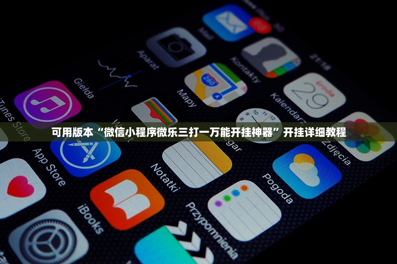 助赢神器“手机微乐海南麻将外卦辅助软件下载”详细分享装挂步骤