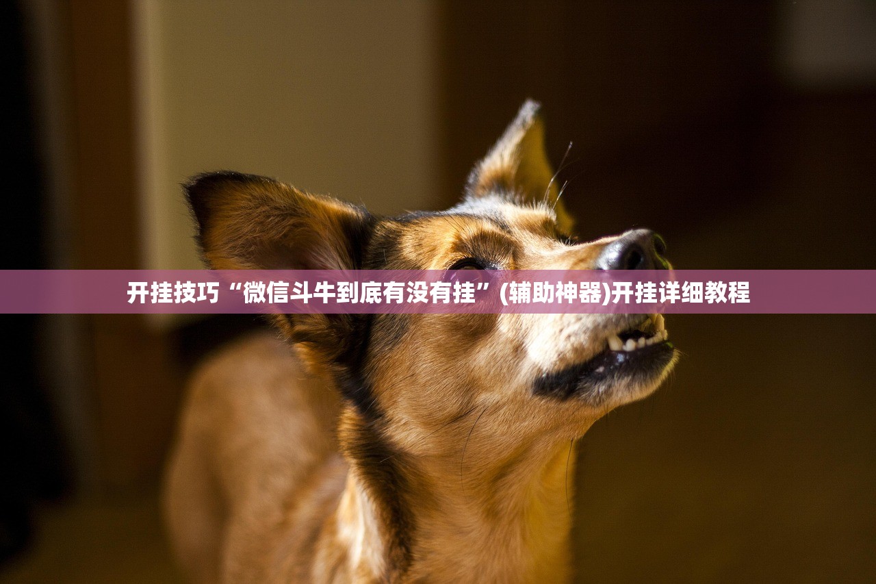 开挂技巧“微信斗牛到底有没有挂”(辅助神器)开挂详细教程