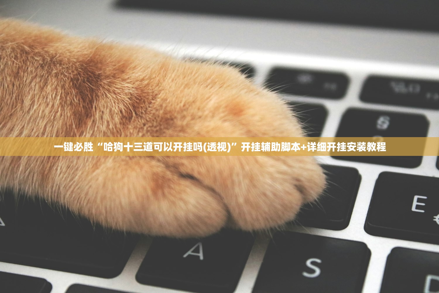必备科技“新西游大厅真有挂吗”详细分享装挂步骤