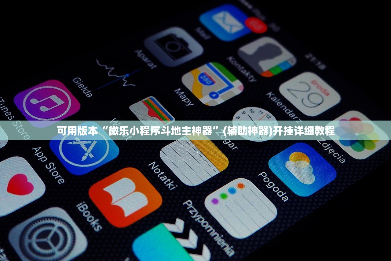 可用版本“微乐小程序斗地主神器”(辅助神器)开挂详细教程