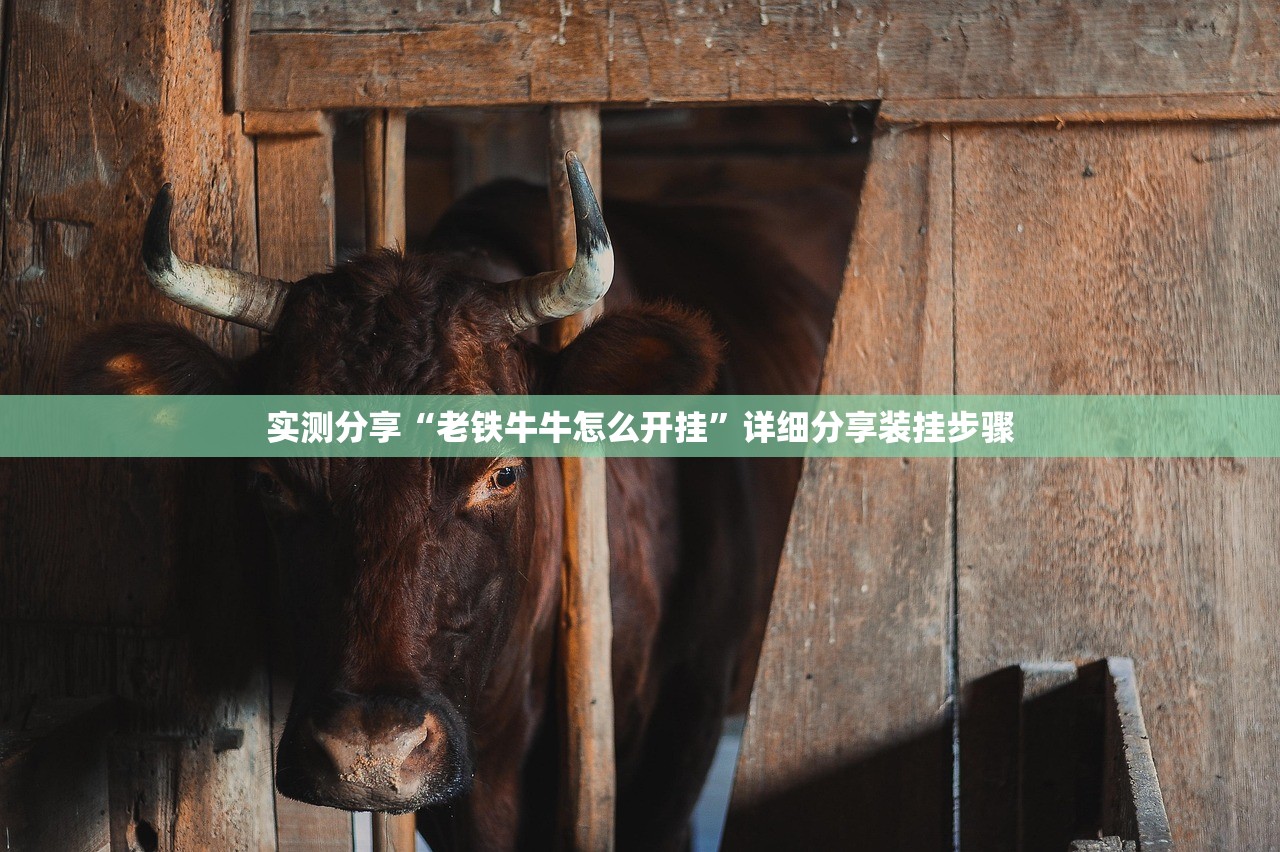 推荐一款“方片十三张有挂吗”详细外挂透视辅助软件教程