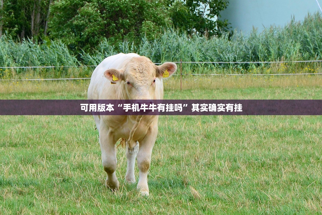 【泗阳车辆违章怎么查,泗阳违章处理】