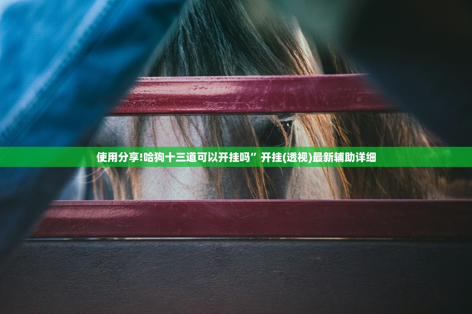使用分享!哈狗十三道可以开挂吗	”开挂(透视)最新辅助详细