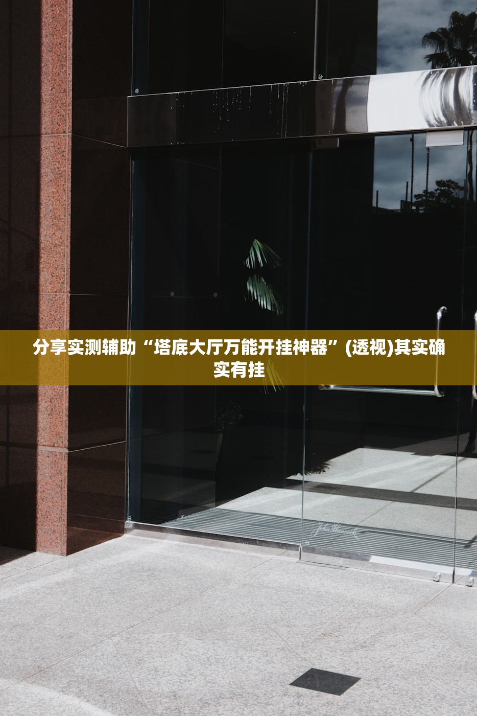 分享实测辅助“塔底大厅万能开挂神器”(透视)其实确实有挂