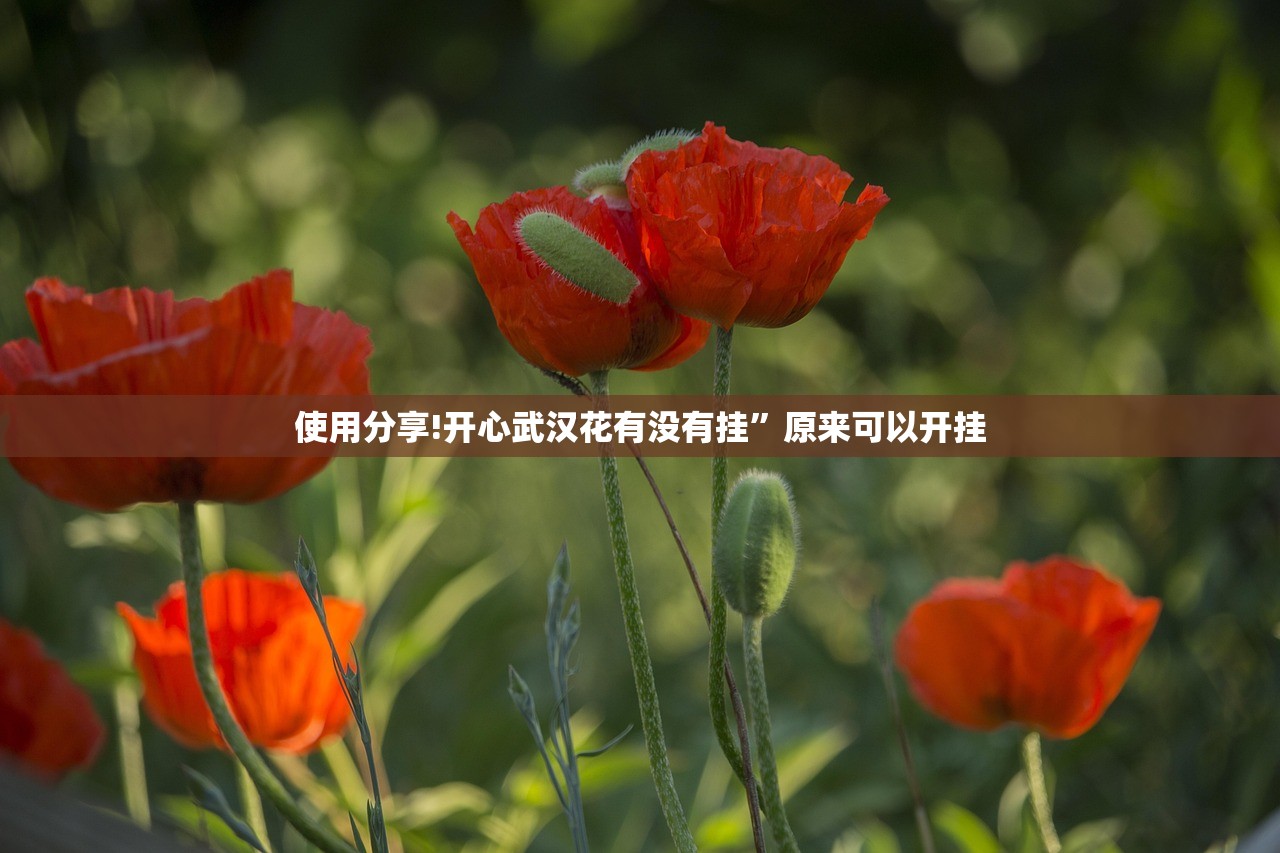 推荐一款“中至鹰潭麻将免费挂”开挂(透视)辅助教程