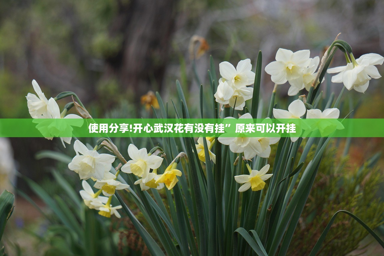使用分享!开心武汉花有没有挂”原来可以开挂