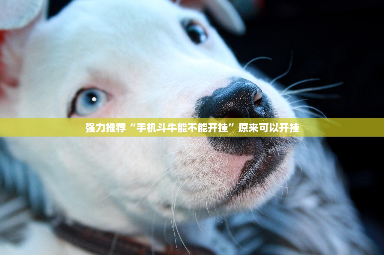 辅助开挂工具“手机打麻将总输钱什么方法破解”2026开挂教程步骤