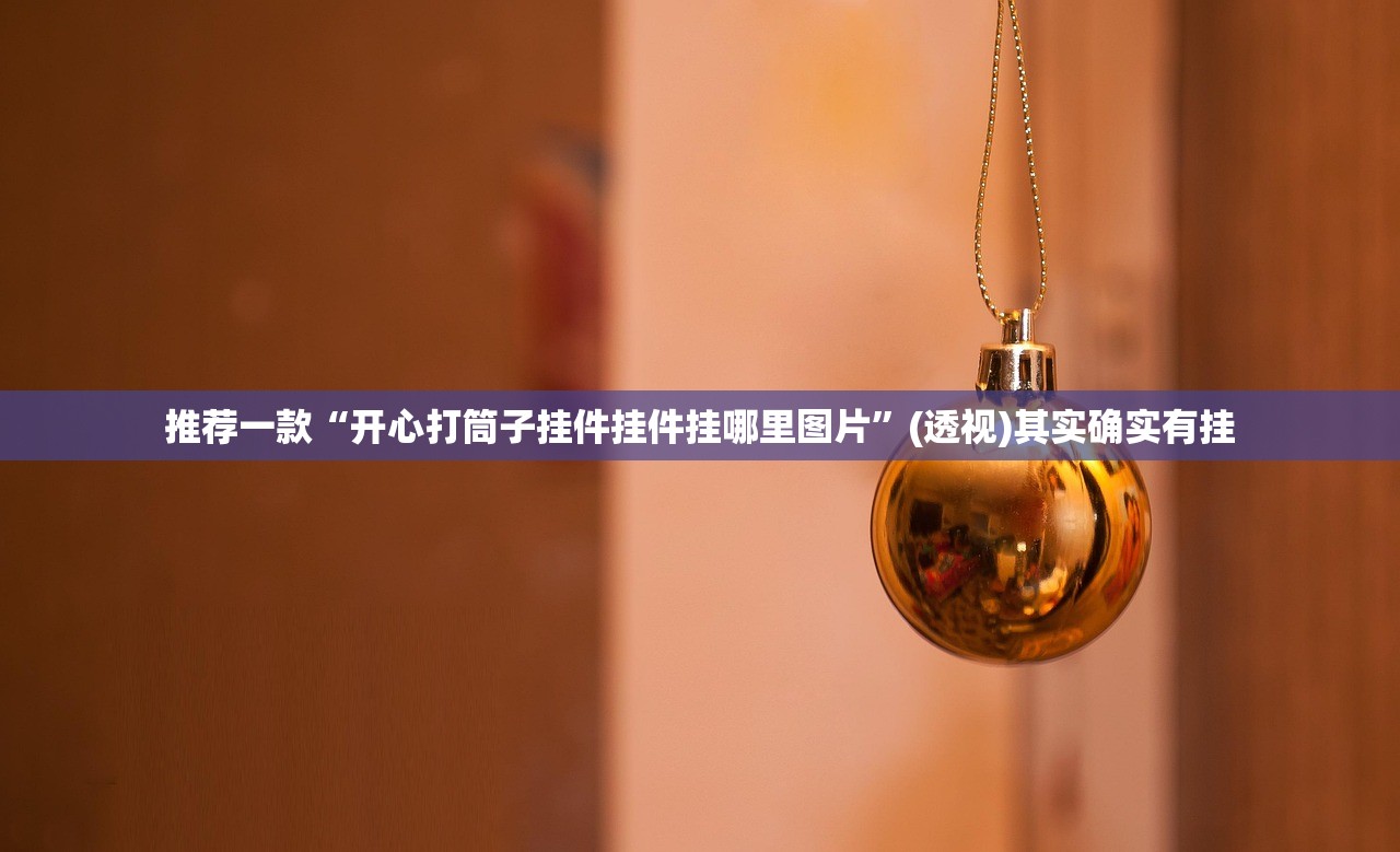 推荐一款“开心打筒子挂件挂件挂哪里图片	”(透视)其实确实有挂